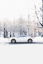 Peugeot RCZ 2009 года